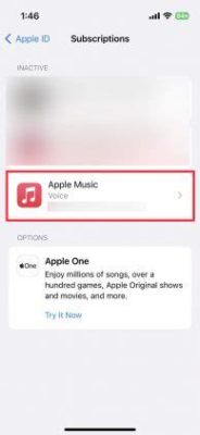 how to cancel apple music subscriptions and explore the benefits of offline music playback